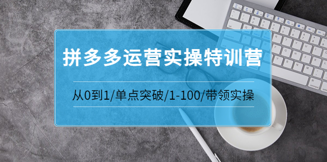 （202208084期）青云拼多多运营实操特训营：从0到1单点突破1-100带领实操 价值2980元