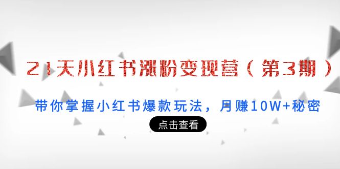 （202209122期）21天小红书涨粉变现营（第3期）：带你掌握小红书爆款玩法，月赚10W+秘密