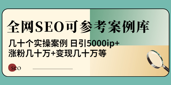 （202209161期）《全网SEO可参考案例库》几十个实操案例 日引5000ip+涨粉百W+变现几十W等!