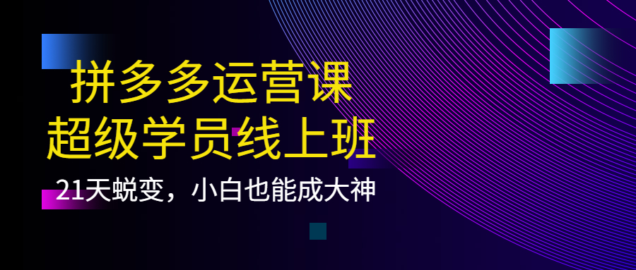 （202210016期）拼多多运营课：超级学员线上班，21天蜕变，小白也能成大神