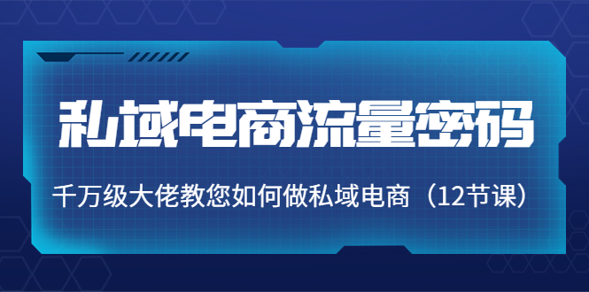 （202210064期）私域电商流量密码：千万级大佬教您如何做私域电商（12节课）