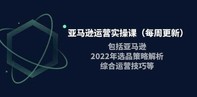 （202210042期）亚马逊运营实操课（每周更新）包括亚马逊2022选品策略解析，综合运营技巧等