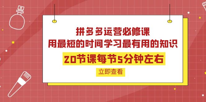 （202209165期）拼多多运营必修课：20节课每节5分钟左右，用最短的时间学习最有用的知识