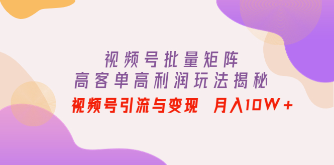 （202211028期）视频号批量矩阵的高客单高利润玩法揭秘： 视频号引流与变现 月入10W+